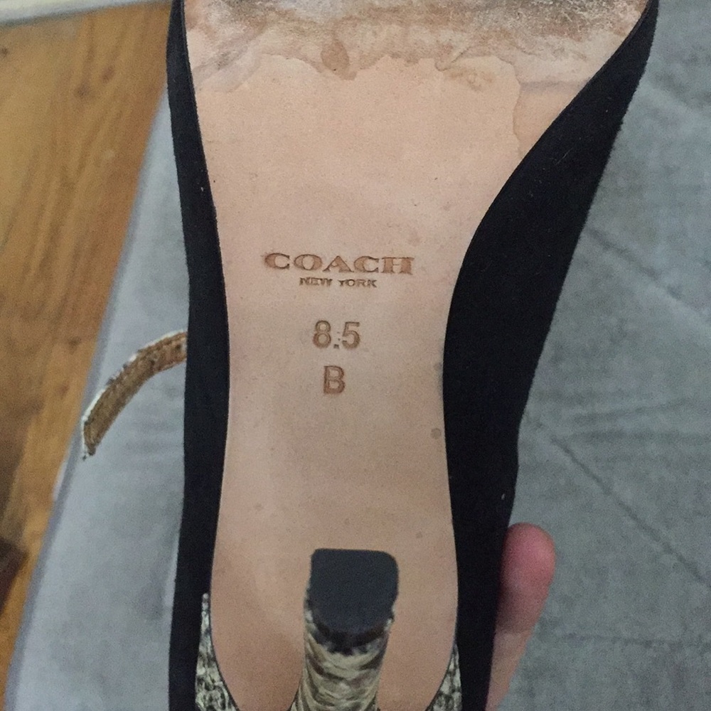 Coach 8.5 - Picture 4 of 5